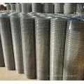 PVC Coated Galvanized Welded Wire Mesh, Holland Welded Wire Mesh